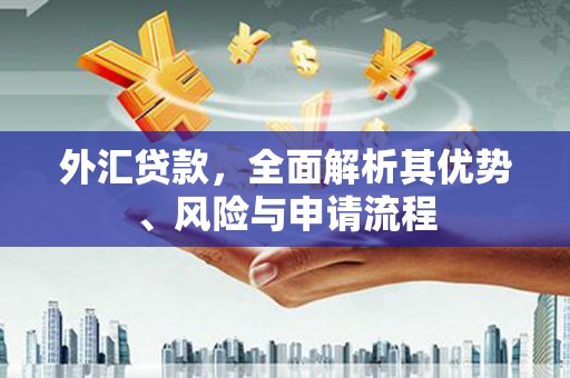 峡江外汇贷款，全面解析其优势、风险与申请流程