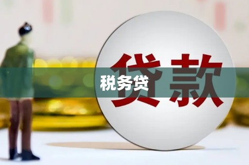 峡江税务贷