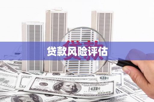 峡江贷款风险评估