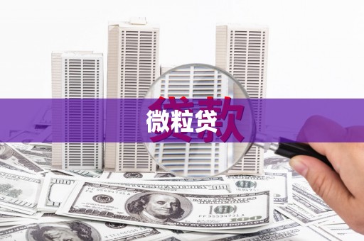 峡江微粒贷