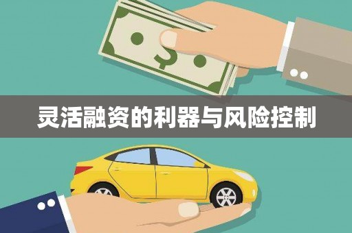 峡江灵活融资的利器与风险控制