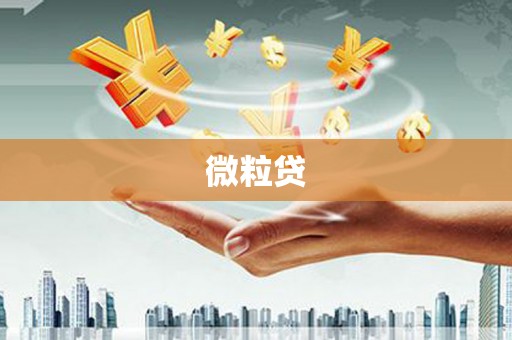 峡江微粒贷