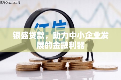 峡江银盛贷款，助力中小企业发展的金融利器
