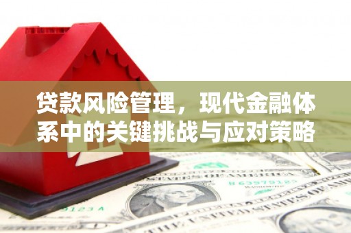 峡江贷款风险管理，现代金融体系中的关键挑战与应对策略