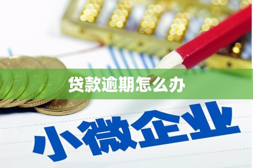 峡江贷款逾期怎么办