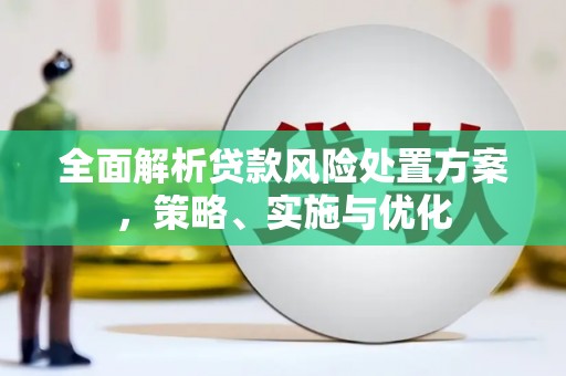 峡江全面解析贷款风险处置方案，策略、实施与优化