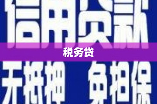 峡江税务贷