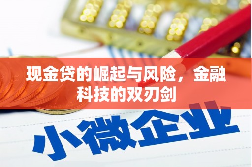 峡江现金贷的崛起与风险，金融科技的双刃剑