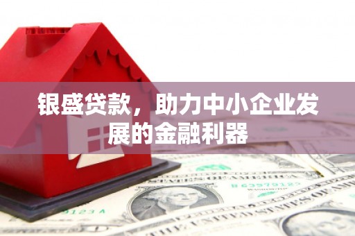 峡江银盛贷款，助力中小企业发展的金融利器
