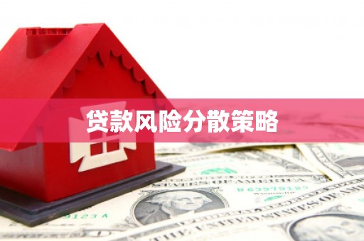 峡江贷款风险分散策略