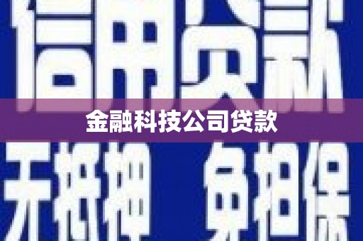 峡江金融科技公司贷款