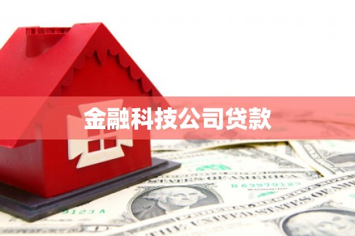 峡江金融科技公司贷款
