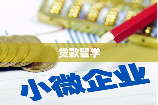 峡江贷款留学