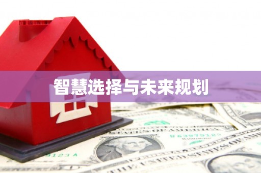 峡江智慧选择与未来规划