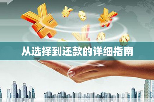 峡江从选择到还款的详细指南