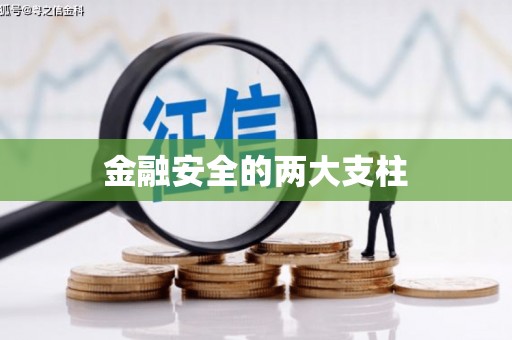 峡江金融安全的两大支柱