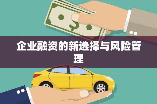 峡江企业融资的新选择与风险管理