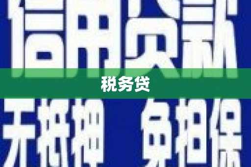 峡江税务贷